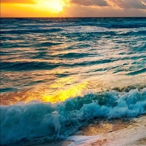 Meet your Posher, Joey